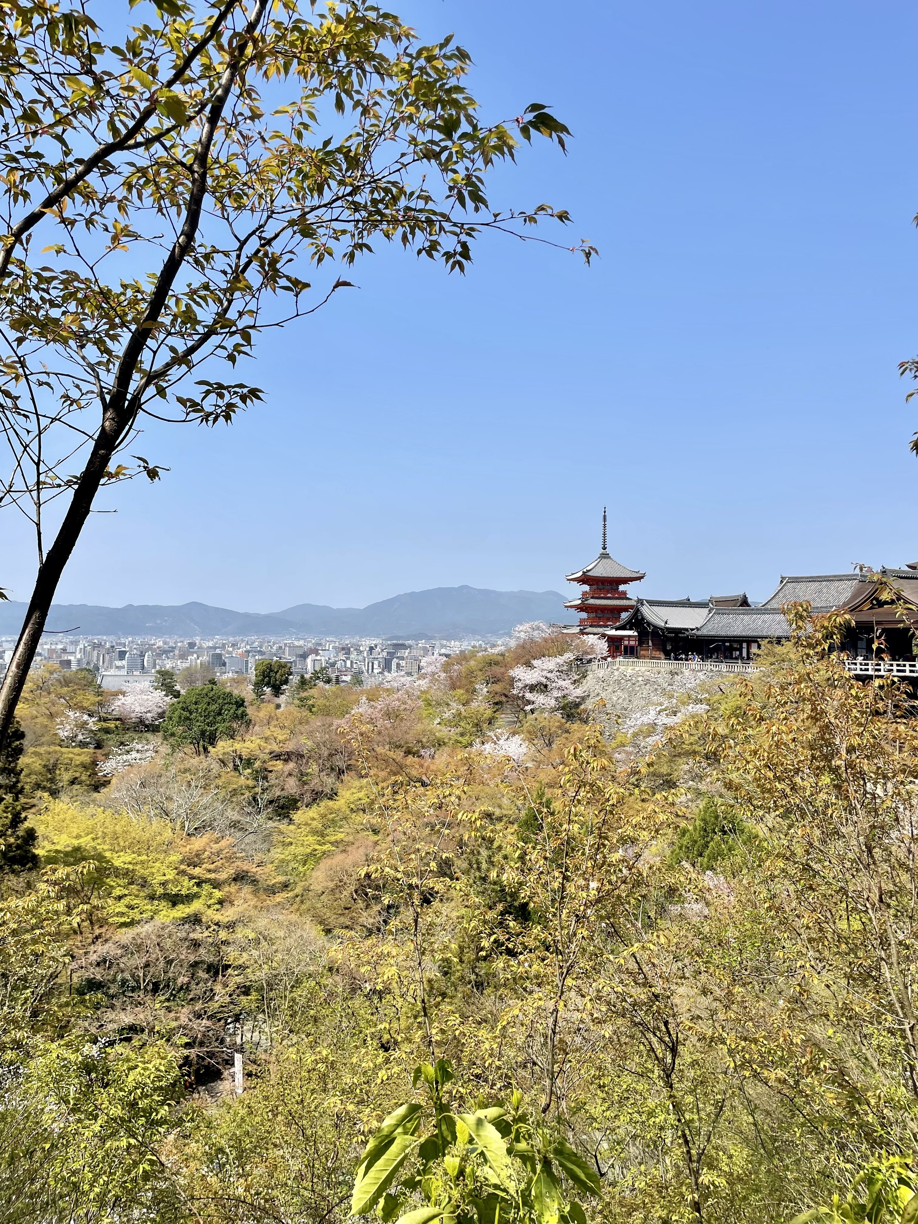View overlooking Kyoto from a shrine